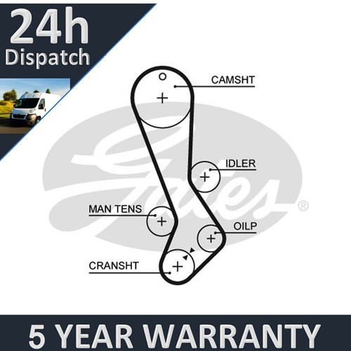 Gates timing belt - timing, fits