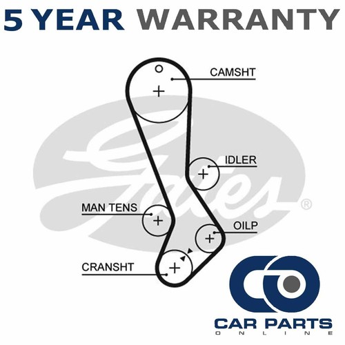 Gates timing belt fits - belt,